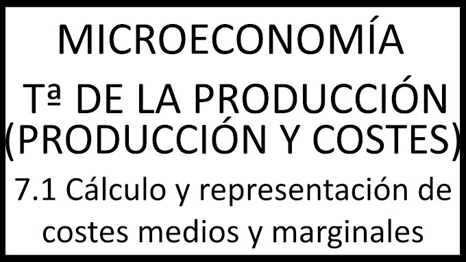 7.1 Cálculo y representación de costes medios y marginales
